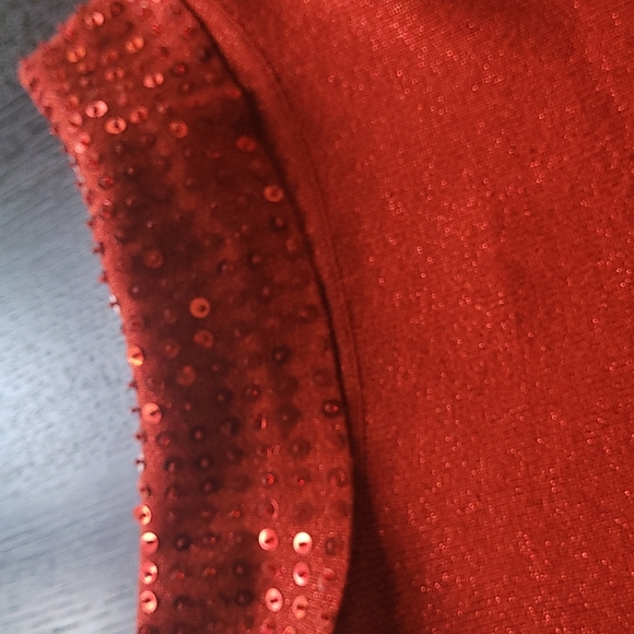 Joseph A. Silk Top with Metallic,  EUC, Large, Junior - Picture 8 of 8